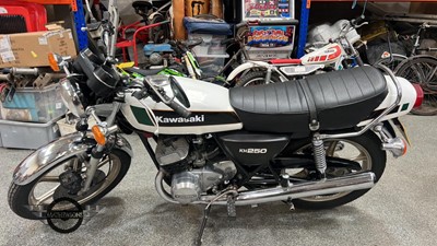 Lot 78 - 1979 KAWASAKI KH250