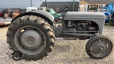 Lot 130 - 1949  FERGUSON TE A