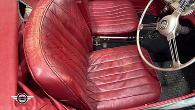 Lot 496 - 1954 MG TF