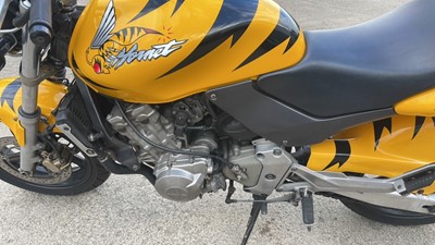 Lot 564 - 1998 HONDA CB600 HORNET